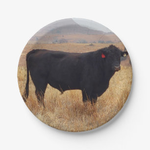 Plato De Papel Angus negros Steer Grazing con su manada