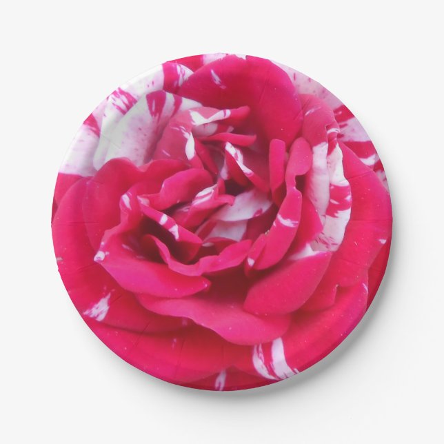 Plato De Papel Anicia (Anverso)