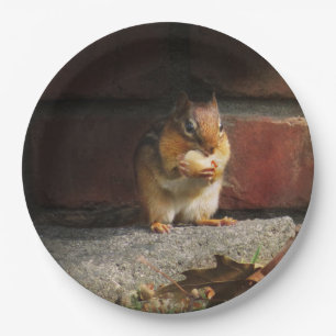 Plato De Papel Animal - Chipmunk - Todo es mío