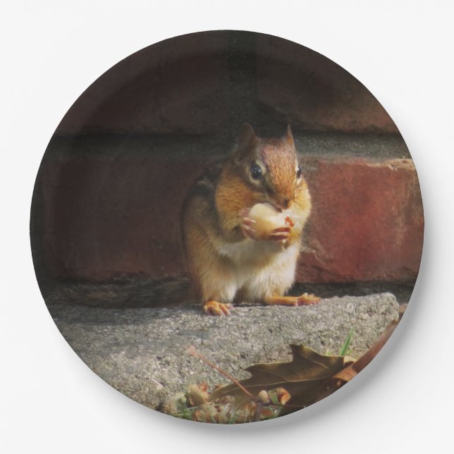Plato De Papel Animal - Chipmunk - Todo es mío (Anverso)