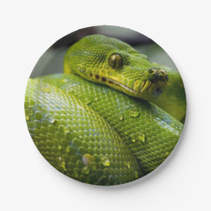 Plato De Papel Animal de la serpiente del pitón
