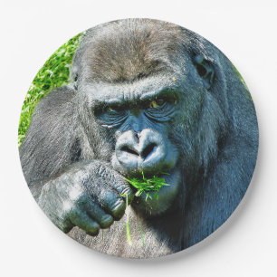PLATO DE PAPEL ANIMALES SALVAJES - GORILLAS