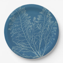 Anna Atkins - Fotografía botánica, diseño vintage
