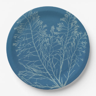 Plato De Papel Anna Atkins - Fotografía botánica, diseño vintage