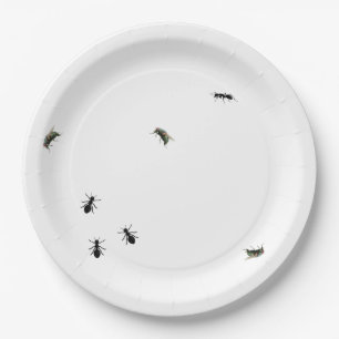 Plato De Papel Antillas Y Moscas