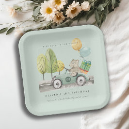 Plato De Papel Aqua Green Cualquier Edad Fiesta de Cumpleaños Ted