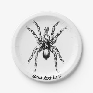 Plato De Papel araña tarántula