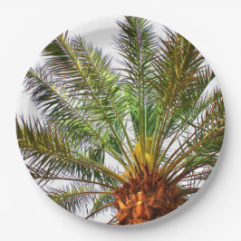 Plato De Papel Árbol de fechas