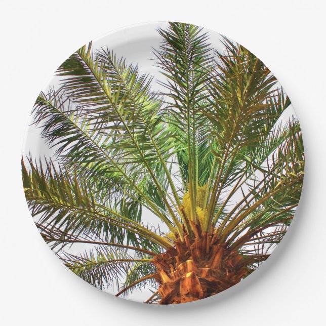 Plato De Papel Árbol de fechas (Anverso)