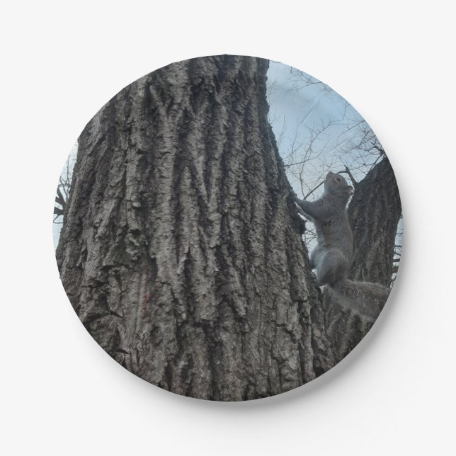 Plato De Papel Ardilla (Anverso)