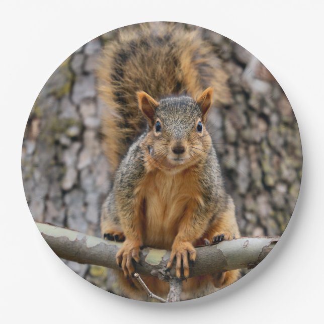 Plato De Papel Ardilla de zorro falso (Anverso)