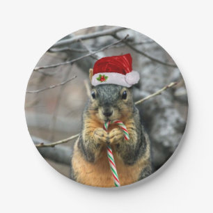 Plato De Papel Ardilla del navidad