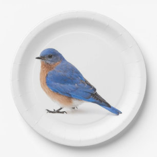 Plato De Papel Aroma