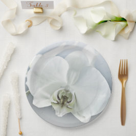 Plato De Papel Arte Botánico de Orquídea Blanca Elegante