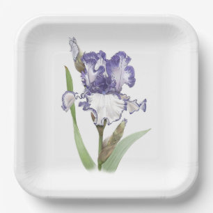 Plato De Papel Arte Botánico Iris Rufled Morple