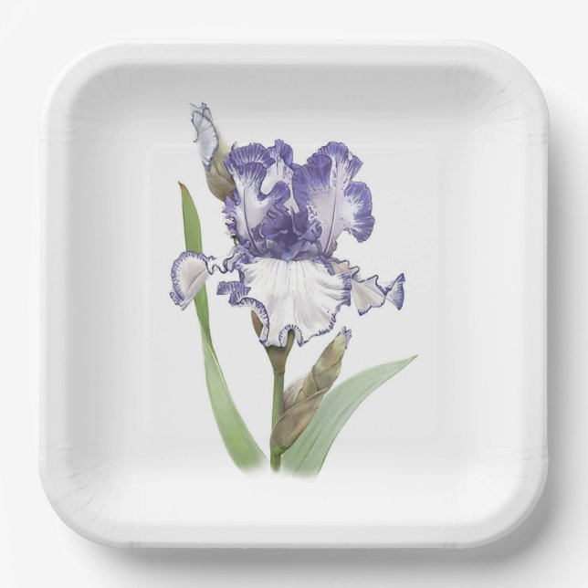 Plato De Papel Arte Botánico Iris Rufled Morple (Anverso)