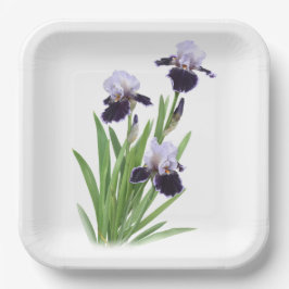 Plato De Papel Arte Botánico Purple Iris Trio