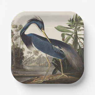 Plato De Papel Arte de Ave de Garza de Louisiana Vintage Audubon
