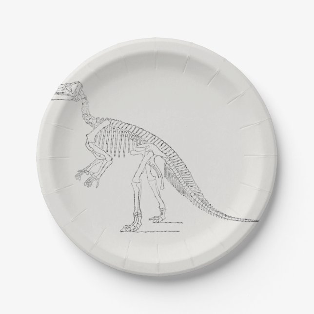 Plato De Papel Arte de Dinosaur Skeleton (Anverso)