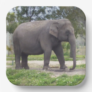 Plato De Papel Arte de Elefante Asiático Gris Suave
