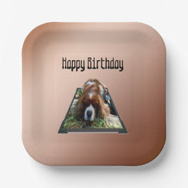 Plato De Papel Arte emergente de Cavalier Spaniel,