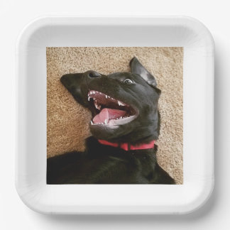 Plato De Papel Ashley Noms Plates