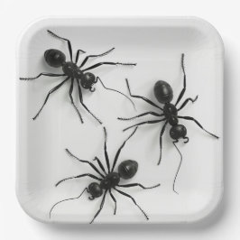 Plato De Papel Assiettes en carton Spider Série 4-8