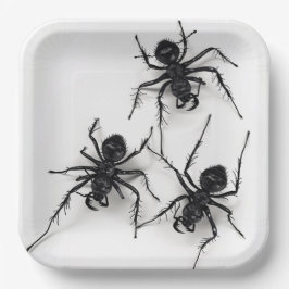 Plato De Papel Assiettes en carton Spider Série 4-9