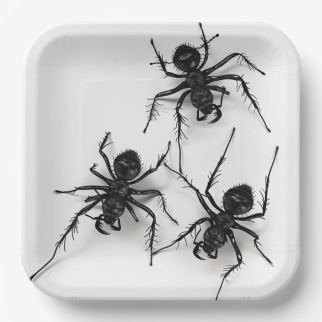 Plato De Papel Assiettes en carton Spider Série 4-9 (Anverso)