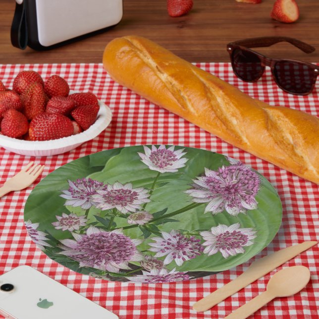 Plato De Papel Astrantia rosa florece (Picnic)