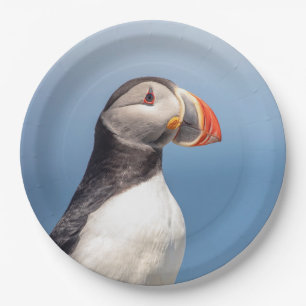 Plato De Papel Atún de aleta atlántica en Maquias, Maine