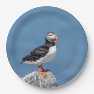 Plato De Papel Atún de aleta atlántica en Maquias, Maine