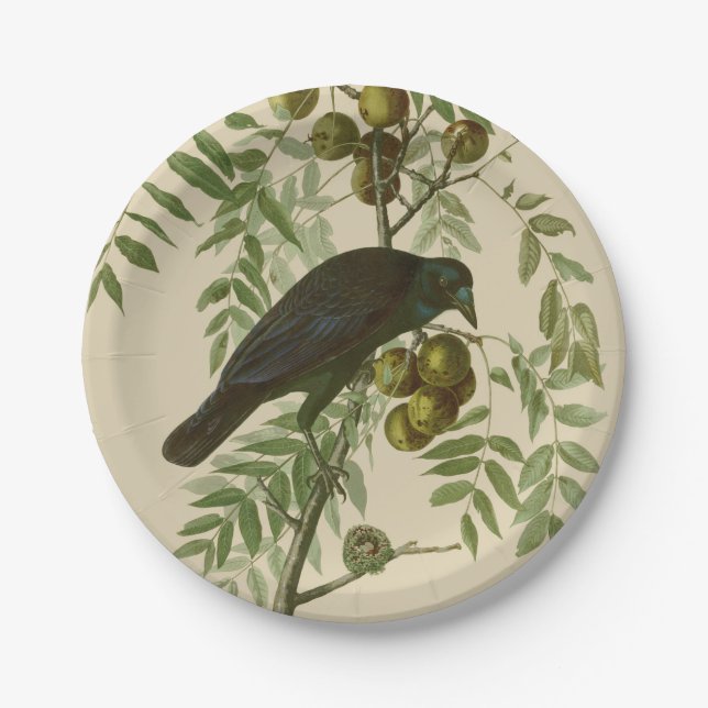 Plato De Papel Audubon American Crow Black Bird (Anverso)