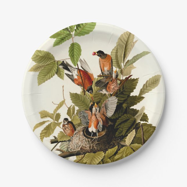 Plato De Papel Audubon American Robin Wildlife Bird Ilustracion (Anverso)