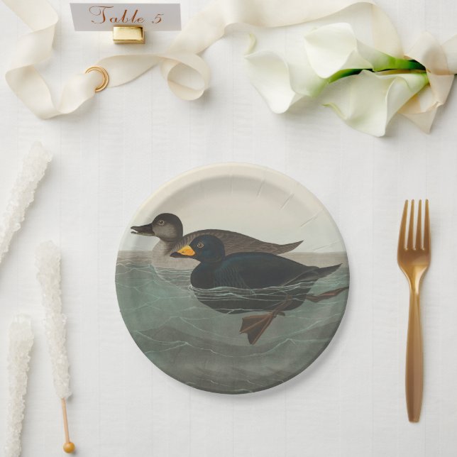 Plato De Papel Audubon American Scoter Duck Classic (Boda)