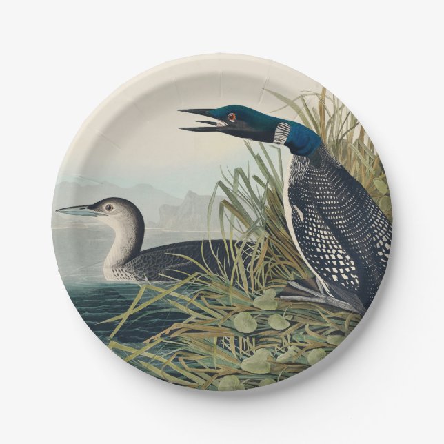 Plato De Papel Audubon Bird Lodge Diver Classic (Anverso)