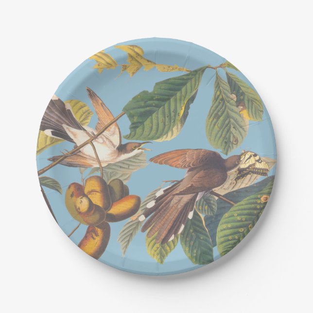 Plato De Papel Audubon Yellow Bilckoo (Anverso)