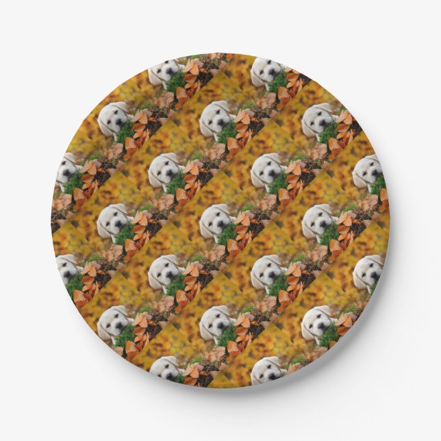 Plato De Papel Autumn Labrador (Anverso)