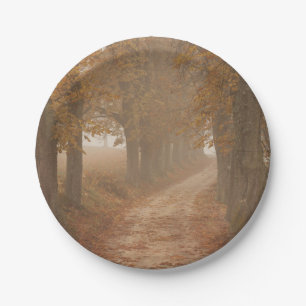 Plato De Papel Autumn Trees Woodland Path Photo