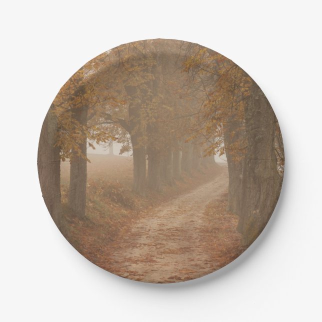 Plato De Papel Autumn Trees Woodland Path Photo (Anverso)