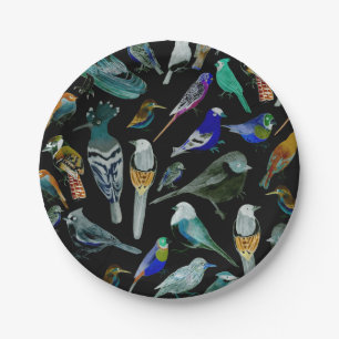 Plato De Papel Aves de América - mascotas y aves silvestres