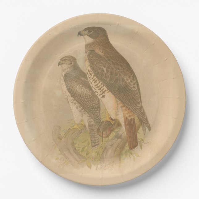 Plato De Papel Aves de época (Anverso)