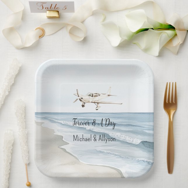 Plato De Papel Aviones blancos azules (Boda)