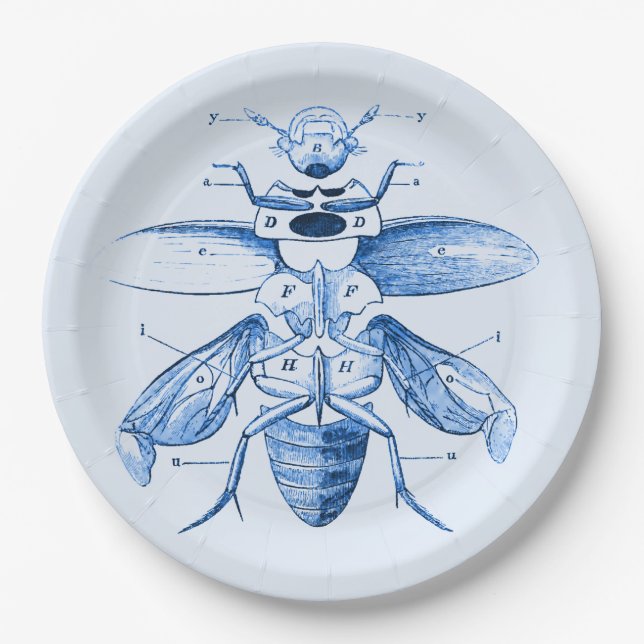 Plato De Papel Azul de los escarabajos el | de la imagen el | del (Anverso)