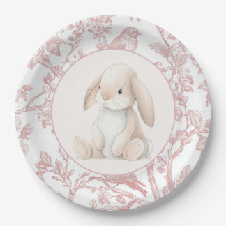 Plato De Papel Baby Girl First Birthday Party Paper Plates