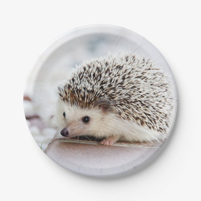 Plato De Papel Baby Hedgehog (Anverso)