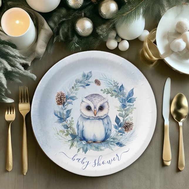 Plato De Papel Baby Shower de acuarela de búho de invierno (Winter Owl Watercolor Baby Shower Paper Plates)