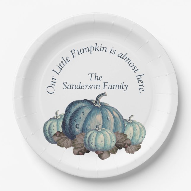 Plato De Papel Baby Shower de calabaza azul y blanca (Anverso)
