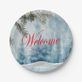 Plato De Papel Baby Shower de vacaciones