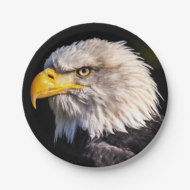 Plato De Papel Bald Eagle (Anverso)